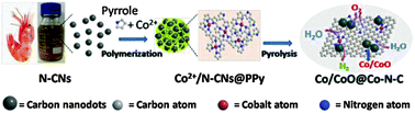 Graphical abstract: Co/CoO nanoparticles immobilized on Co–N-doped carbon as trifunctional electrocatalysts for oxygen reduction, oxygen evolution and hydrogen evolution reactions