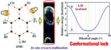 Graphical abstract: “Conformational lock” via unusual intramolecular C–F⋯O [[double bond, length as m-dash]] C and C–H⋯Cl–C parallel dipoles observed in in situ cryocrystallized liquids