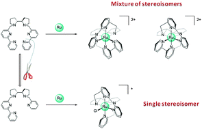 Graphical abstract: The stereoselectivity of bipyrrolidine-based sequential polydentate ligands around Ru(ii)