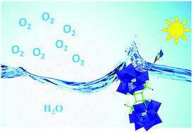 Graphical abstract: [{β-SiNi2W10O36(OH)2(H2O)}4]24−: a new robust visible light-driven water oxidation catalyst based on nickel-containing polyoxometalate