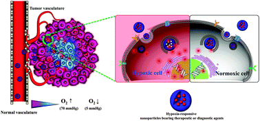 Graphical abstract: Hypoxia-responsive nanocarriers for cancer imaging and therapy: recent approaches and future perspectives