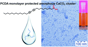 Graphical abstract: A solvothermal method for synthesizing monolayer protected amorphous calcium carbonate clusters