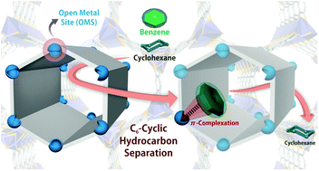 Graphical abstract: Harnessing Lewis acidic open metal sites of metal–organic frameworks: the foremost route to achieve highly selective benzene sorption over cyclohexane