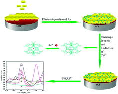 Graphical abstract: A microporous anionic metal–organic framework for a highly selective and sensitive electrochemical sensor of Cu2+ ions