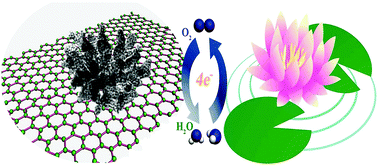 Graphical abstract: Highly-branched mesoporous Au–Pd–Pt trimetallic nanoflowers blooming on reduced graphene oxide as an oxygen reduction electrocatalyst