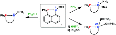Graphical abstract: Diverse reactivity of borenium cations with >N–H compounds