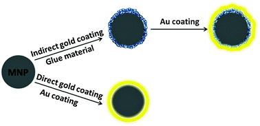 Graphical abstract: Gold coated magnetic nanoparticles: from preparation to surface modification for analytical and biomedical applications