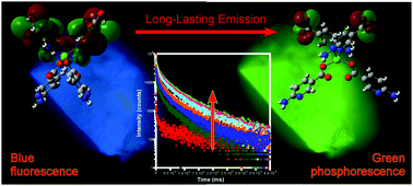 Graphical abstract: A Zn based coordination polymer exhibiting long-lasting phosphorescence