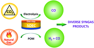 Graphical abstract: A bifunctional solid oxide electrolysis cell for simultaneous CO2 utilization and synthesis gas production
