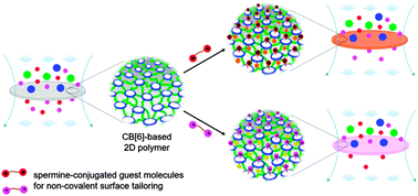 Graphical abstract: Permselective 2D-polymer-based membrane tuneable by host–guest chemistry