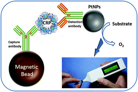 Graphical abstract: A pressure-based bioassay for the rapid, portable and quantitative detection of C-reactive protein