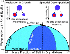 Graphical abstract: Role of nucleation mechanism on the size dependent morphology of organic aerosol