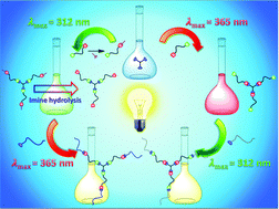 Graphical abstract: Star polymer synthesis via λ-orthogonal photochemistry