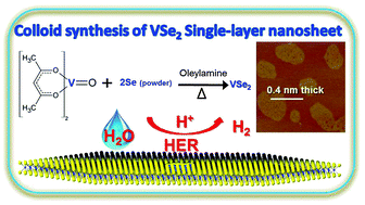 Graphical abstract: Colloidal synthesis of VSe2 single-layer nanosheets as novel electrocatalysts for the hydrogen evolution reaction