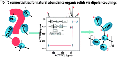 Graphical abstract: Determining carbon–carbon connectivities in natural abundance organic powders using dipolar couplings
