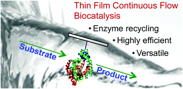 Graphical abstract: Rapid protein immobilization for thin film continuous flow biocatalysis