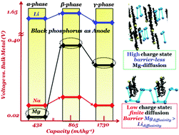 Graphical abstract: Anodic performance of black phosphorus in magnesium-ion batteries: the significance of Mg–P bond-synergy