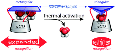 Graphical abstract: Protonated hexaphyrin–cyclodextrin hybrids: molecular recognition tuned by a kinetic-to-thermodynamic topological adaptation
