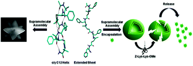 Graphical abstract: Exploring structural features of folded peptide architectures in the construction of nanomaterials