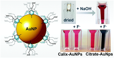 Graphical abstract: Extremely robust and post-functionalizable gold nanoparticles coated with calix[4]arenes via metal–carbon bonds