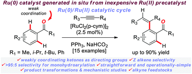 Graphical abstract: Ruthenium(0)-catalyzed hydroarylation of alkynes via ketone-directed C–H functionalization using in situ-generated ruthenium complexes