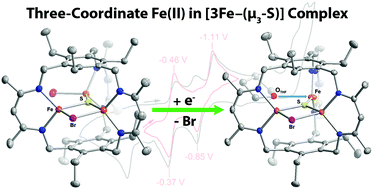 Graphical abstract: A three-coordinate Fe(ii) center within a [3Fe–(μ3-S)] cluster that provides an accessible coordination site