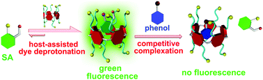 Graphical abstract: Fluorescence indicator displacement detection based on pillar[5]arene-assisted dye deprotonation