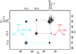 Graphical abstract: Insight into the formation of the tert-butyl cation confined inside H-ZSM-5 zeolite from NMR spectroscopy and DFT calculations