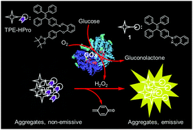 Graphical abstract: An AIE-active fluorescence turn-on bioprobe mediated by hydrogen-bonding interaction for highly sensitive detection of hydrogen peroxide and glucose