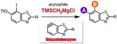 Graphical abstract: Thiazolobenzyne: a versatile intermediate for multisubstituted benzothiazoles