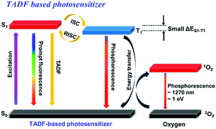 Graphical abstract: Organic nanostructures of thermally activated delayed fluorescent emitters with enhanced intersystem crossing as novel metal-free photosensitizers