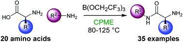 Graphical abstract: Direct amidation of unprotected amino acids using B(OCH2CF3)3