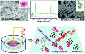 Graphical abstract: Electrochemical synthesis of fractal bimetallic Cu/Ag nanodendrites for efficient surface enhanced Raman spectroscopy