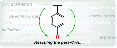 Graphical abstract: Reaching the south: metal-catalyzed transformation of the aromatic para-position