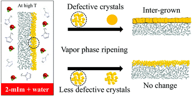 Graphical abstract: Defect-induced ripening of zeolitic-imidazolate framework ZIF-8 and its implication to vapor-phase membrane synthesis