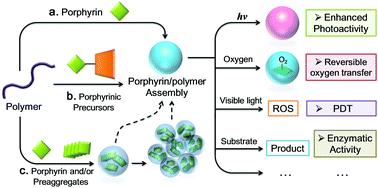 Graphical abstract: Cooperative self-assembly of porphyrins with polymers possessing bioactive functions