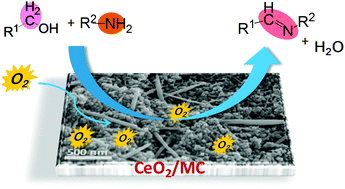 Graphical abstract: CeO2 nanorods anchored on mesoporous carbon as an efficient catalyst for imine synthesis