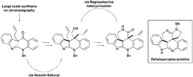 Graphical abstract: Total synthesis of dehaloperophoramidine using a highly diastereoselective Hosomi–Sakurai reaction