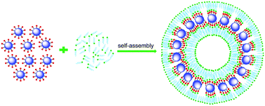 Graphical abstract: Fluorescent vesicles formed by simple surfactants induced by oppositely-charged carbon quantum dots