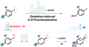 Graphical abstract: para-Selective C–H bond functionalization of iodobenzenes