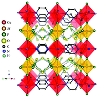 Graphical abstract: Bimetallic MOFs (H3O)x[Cu(MF6)(pyrazine)2]·(4 − x)H2O (M = V4+, x = 0; M = Ga3+, x = 1): co-existence of ordered and disordered quantum spins in the V4+ system