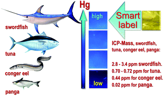 Graphical abstract: A smart material for the in situ detection of mercury in fish