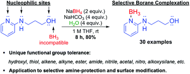 Graphical abstract: Amine–boranes bearing borane-incompatible functionalities: application to selective amine protection and surface functionalization