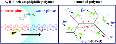 Graphical abstract: Structure-controlled polymers prepared by pseudo-living addition-condensation polymerization and their application to light harvesting