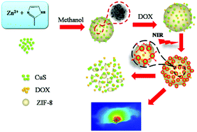 Graphical abstract: Near-infrared light-induced dissociation of zeolitic imidazole framework-8 (ZIF-8) with encapsulated CuS nanoparticles and their application as a therapeutic nanoplatform
