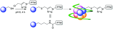 Graphical abstract: Chloromethyl-triazole: a new motif for site-selective pseudo-acylation of proteins