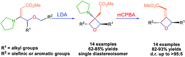 Graphical abstract: Stereoselective synthesis of 2,3,4-highly substituted oxetanes by intramolecular C–C bond forming Michael addition