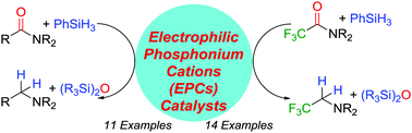 Graphical abstract: Catalytic reduction of amides to amines by electrophilic phosphonium cations via FLP hydrosilylation