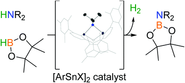 Graphical abstract: Catalytic dehydrocoupling of amines and boranes by an incipient tin(ii) hydride