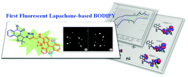 Graphical abstract: Novel fluorescent lapachone-based BODIPY: synthesis, computational and electrochemical aspects, and subcellular localisation of a potent antitumour hybrid quinone